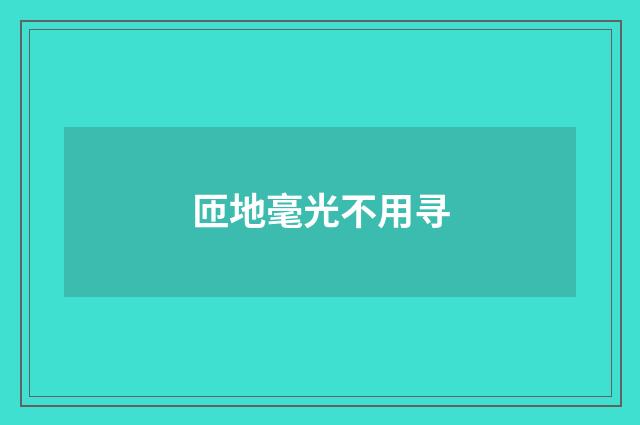匝地毫光不用寻