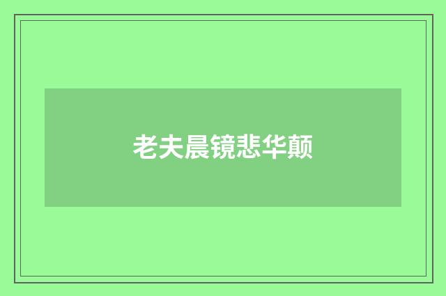 老夫晨镜悲华颠