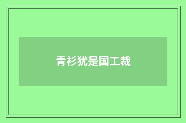 青衫犹是国工裁