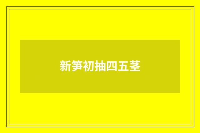 新笋初抽四五茎
