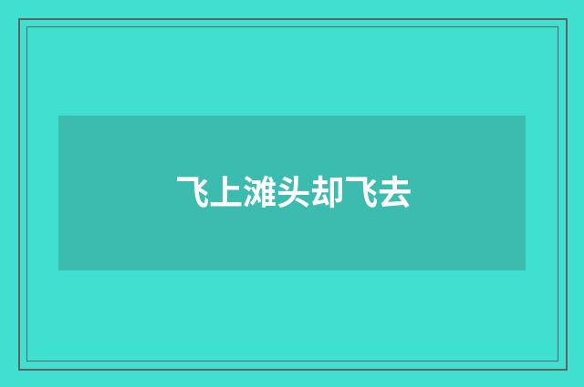 飞上滩头却飞去