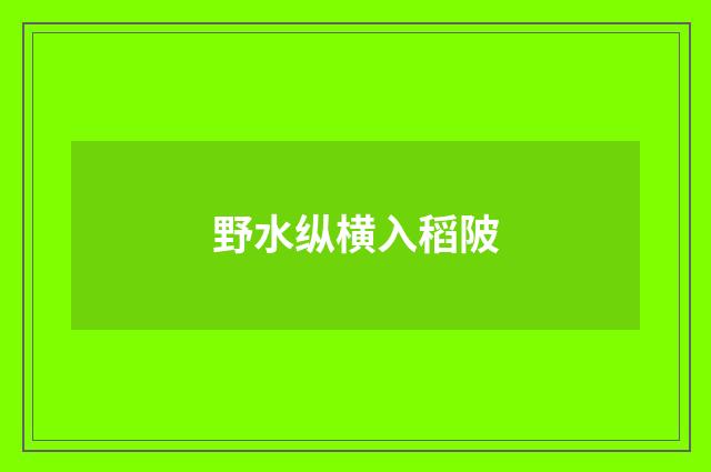 野水纵横入稻陂