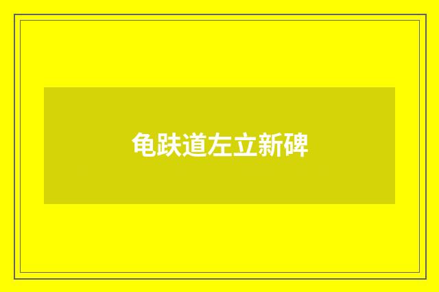 龟趺道左立新碑