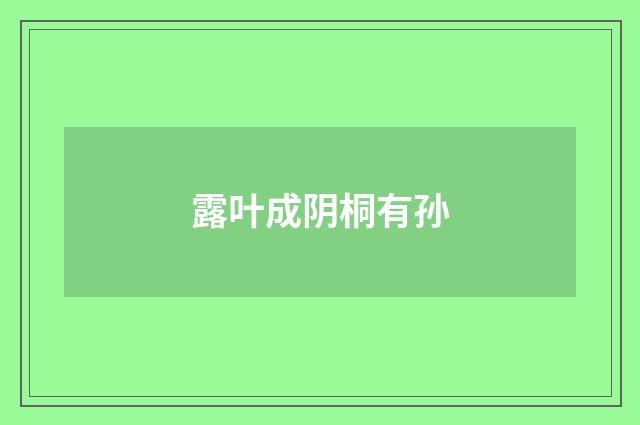 露叶成阴桐有孙