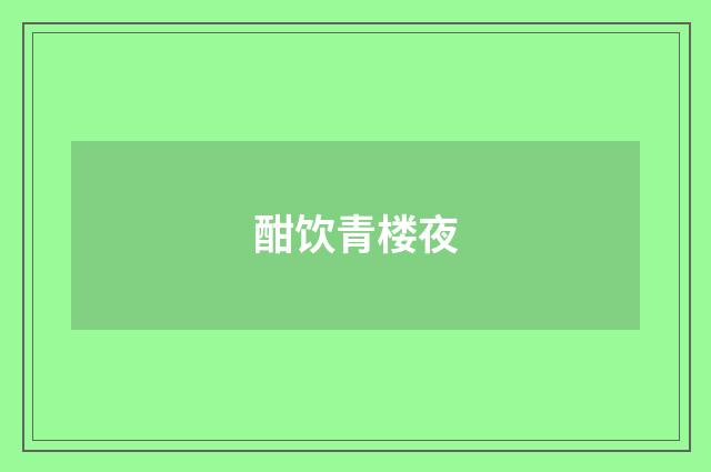 酣饮青楼夜