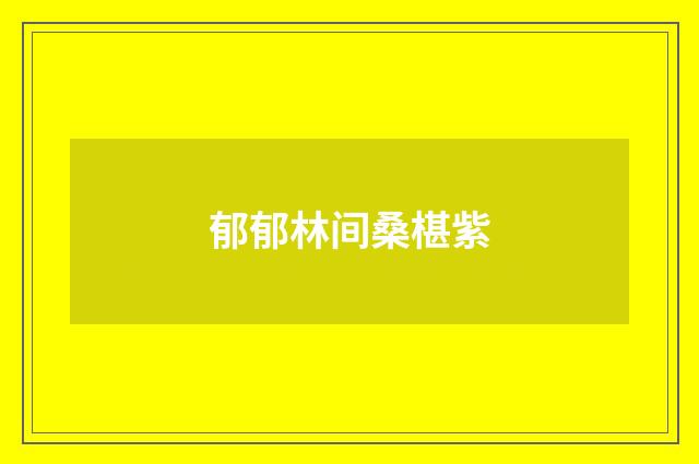 郁郁林间桑椹紫