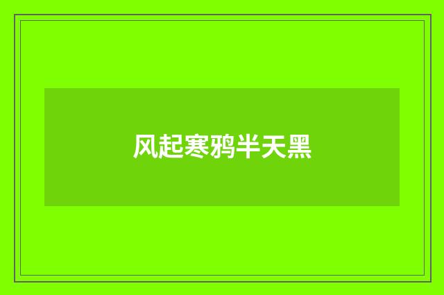 风起寒鸦半天黑
