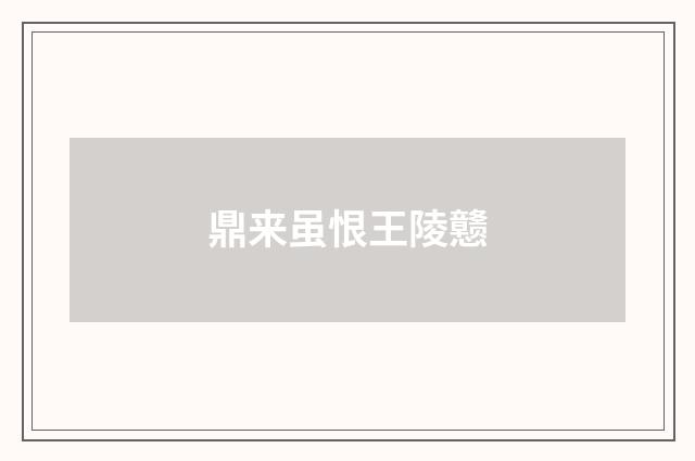 鼎来虽恨王陵戆