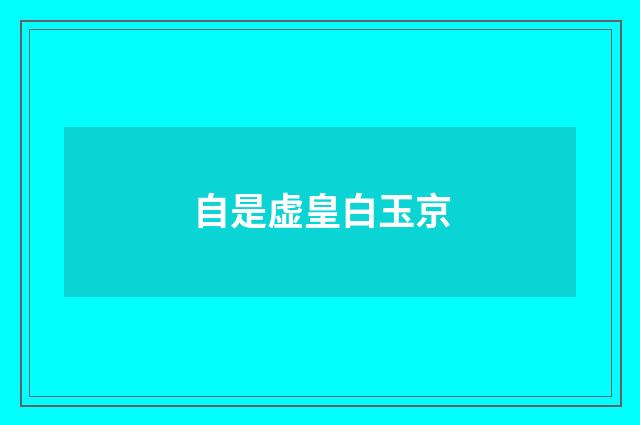 自是虚皇白玉京