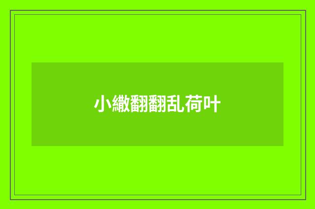 小繖翻翻乱荷叶