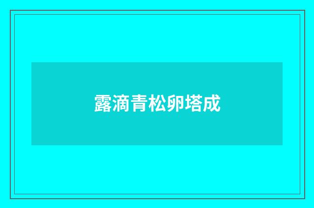 露滴青松卵塔成