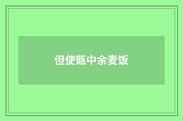 但使甑中余麦饭