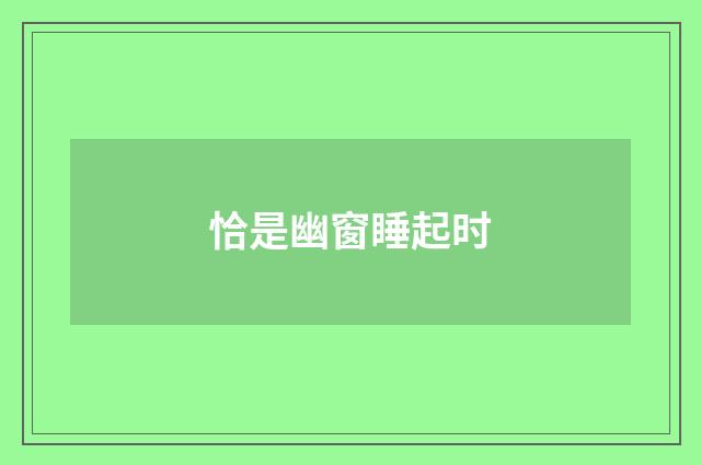 恰是幽窗睡起时