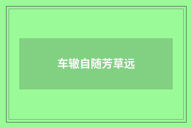 车辙自随芳草远
