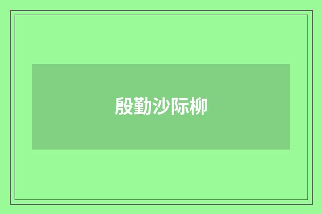 殷勤沙际柳