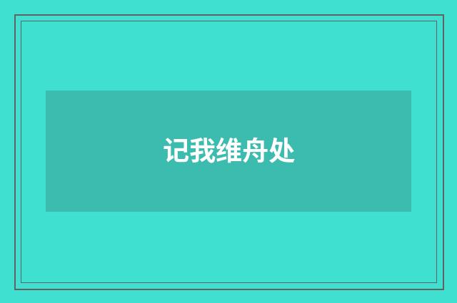 记我维舟处