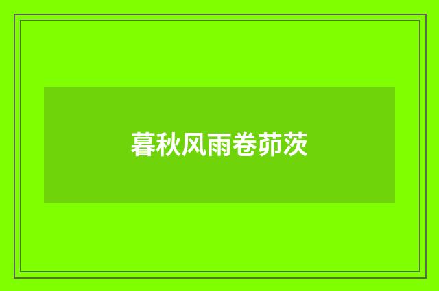 暮秋风雨卷茆茨