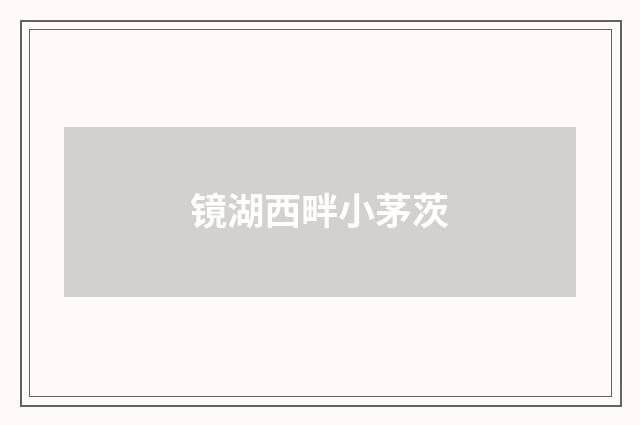 镜湖西畔小茅茨