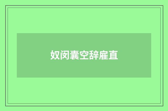 奴闵囊空辞雇直