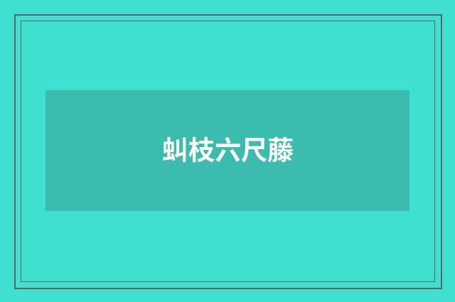 虯枝六尺藤