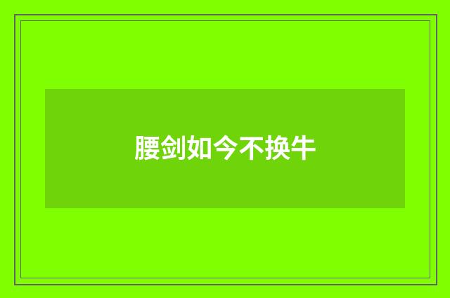 腰剑如今不换牛