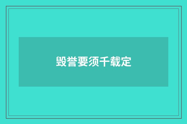 毁誉要须千载定