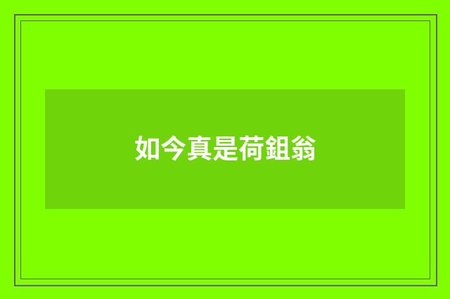 如今真是荷鉏翁