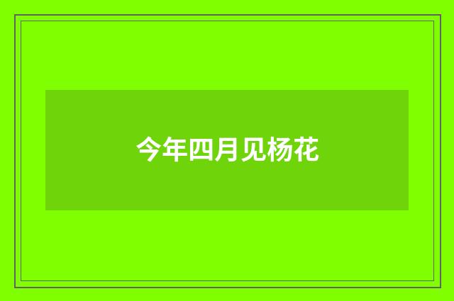 今年四月见杨花