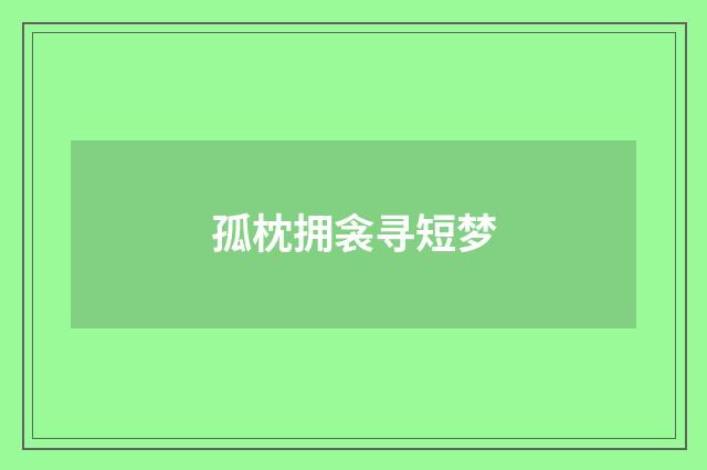 孤枕拥衾寻短梦