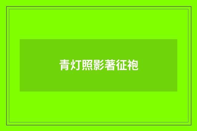 青灯照影著征袍