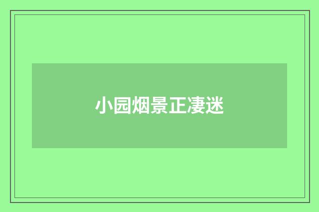 小园烟景正凄迷