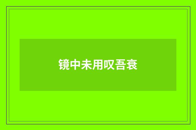镜中未用叹吾衰