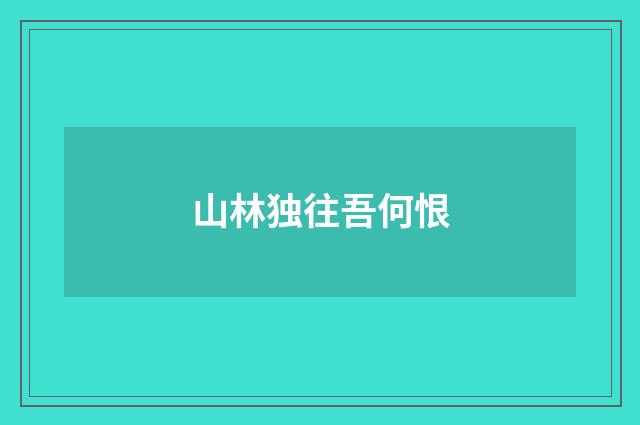 山林独往吾何恨