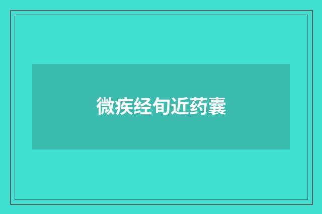微疾经旬近药囊