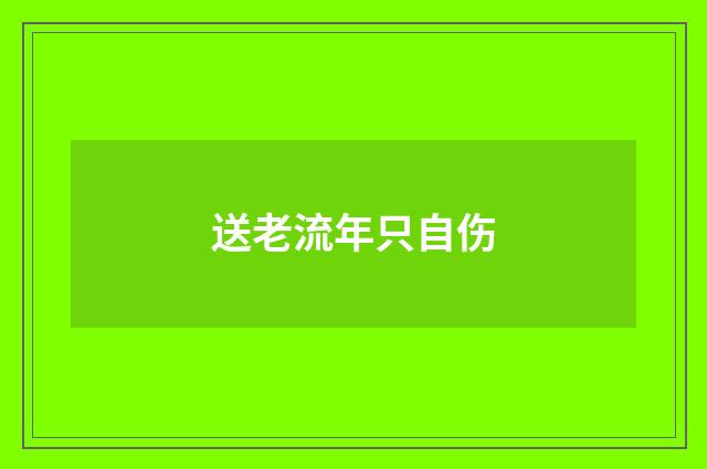 送老流年只自伤