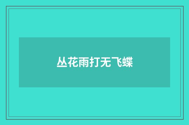 丛花雨打无飞蝶