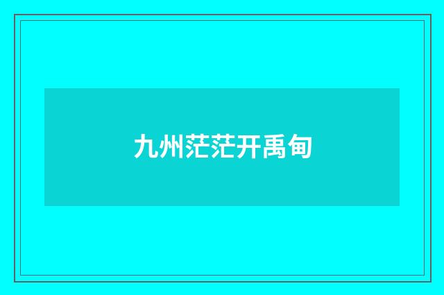 九州茫茫开禹甸