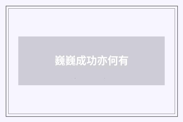 巍巍成功亦何有