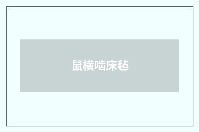 鼠横啮床毡