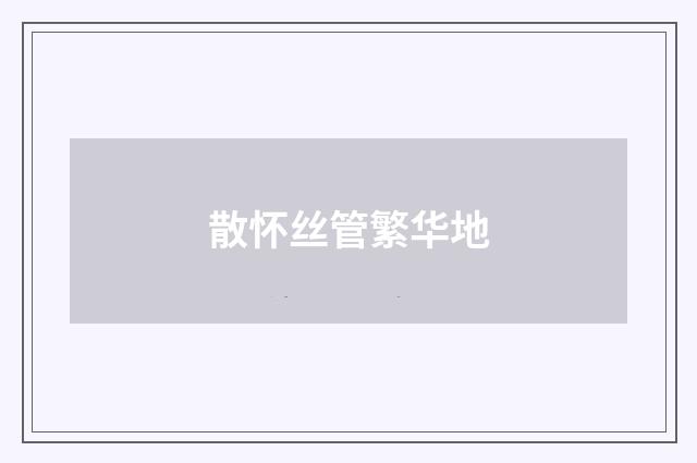 散怀丝管繁华地