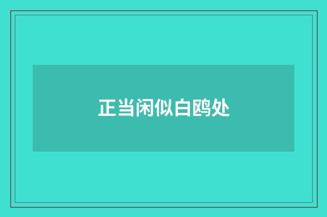 正当闲似白鸥处