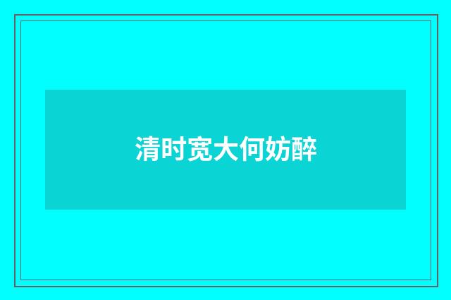 清时宽大何妨醉