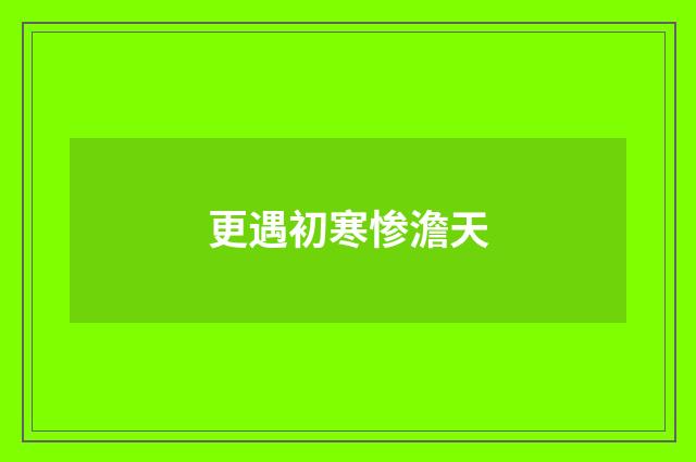 更遇初寒惨澹天