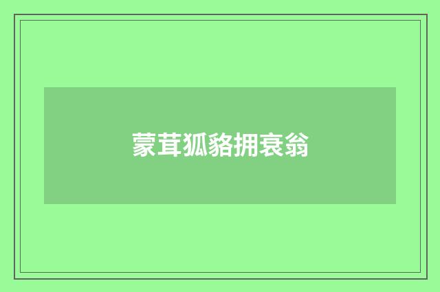 蒙茸狐貉拥衰翁