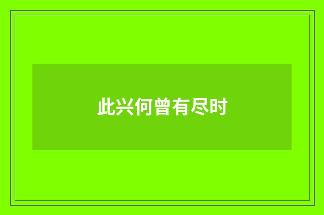 此兴何曾有尽时