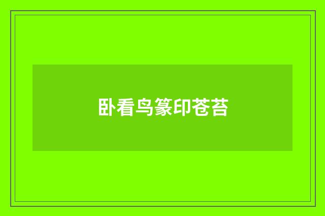 卧看鸟篆印苍苔