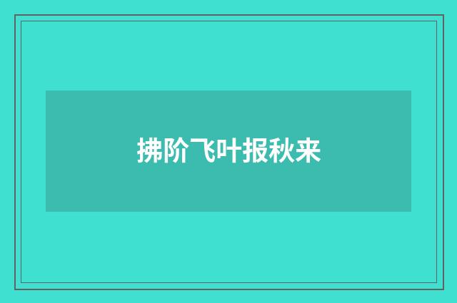 拂阶飞叶报秋来