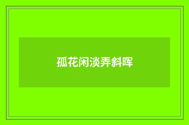 孤花闲淡弄斜晖