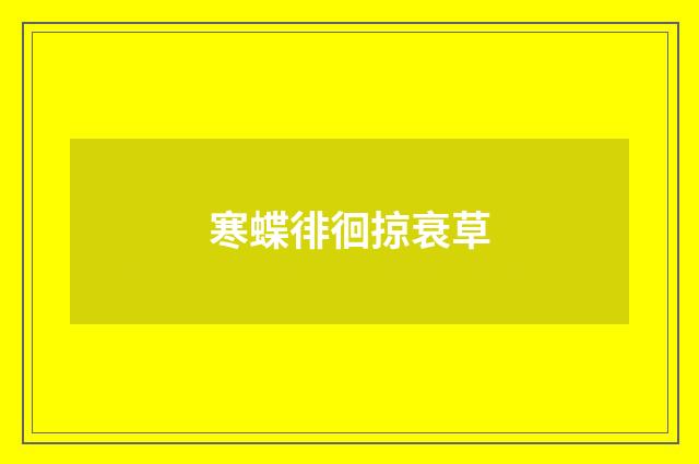 寒蝶徘徊掠衰草