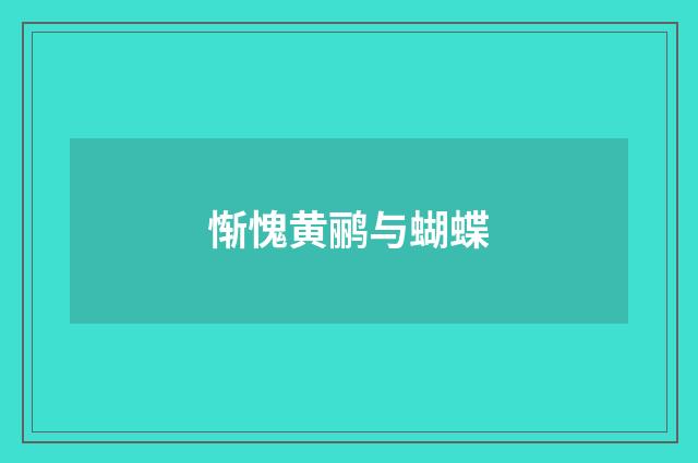 惭愧黄鹂与蝴蝶